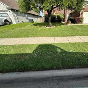 landscaping by Creating a better Landscaping reviewed on December 9, 2025