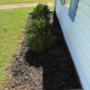 Flower Bed Weeding by RnR  Homes  &quot;Legends Lawncare&quot; reviewed on October 22, 2025