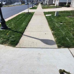 yard work by Ines lawnscaping reviewed on November 27, 2025