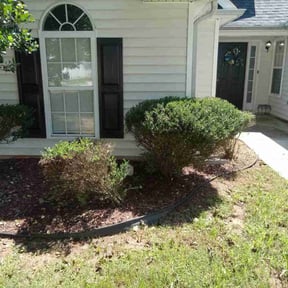 Bush Trimming by Gia Mobile Detailing reviewed on November 19, 2025