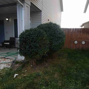 Bush Trimming by Brown Roots Lawn Care reviewed on May 9, 2024