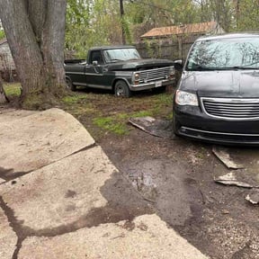 Leaf Removal by Armed and Ready Services reviewed on July 30, 2026