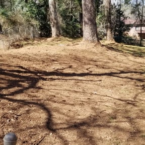 Leaf Removal by MVP Lawncare reviewed on September 6, 2025