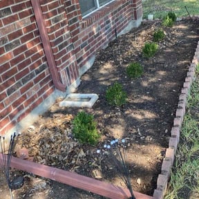 Leaf Removal by No Time Wasted reviewed on September 23, 2025