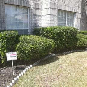 Bush Trimming by Jackson quality landscape reviewed on August 18, 2025