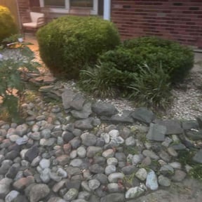 Leaf Removal by Sunshive Landscape reviewed on September 10, 2025