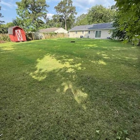 yard work by I4-75-95 connections LLC reviewed on June 17, 2022