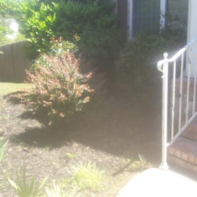 Flower Bed Weeding by BLC reviewed on August 21, 2025