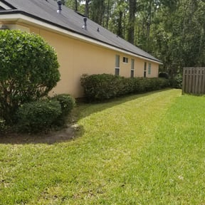 Bush Trimming by Tovar Landscaping reviewed on August 19, 2025