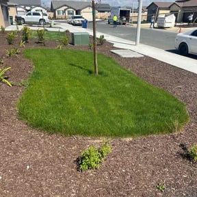 residential landscaping by Green City lawns reviewed on August 20, 2025