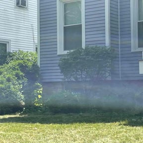 Bush Trimming by Under Cutters Lawn & Landscaping reviewed on August 15, 2025