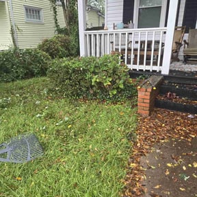 Bush Trimming by S & K Lawn Care Service LLC reviewed on August 19, 2025