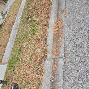 Leaf Removal by Shaggy lawn care reviewed on May 8, 2026