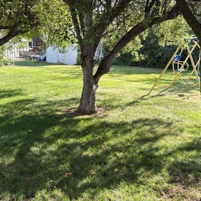 landscaping by Cutting Edge Lawn Care and Tree Service reviewed on August 20, 2025