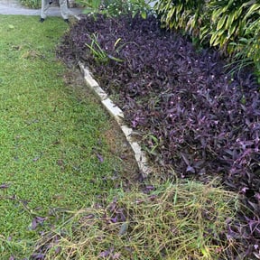 Flower Bed Weeding by YardPro reviewed on November 10, 2025