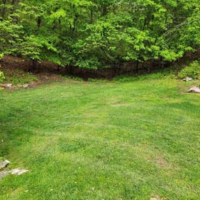 landscape maintenance by Show me the hardscaping and lawns reviewed on August 17, 2025