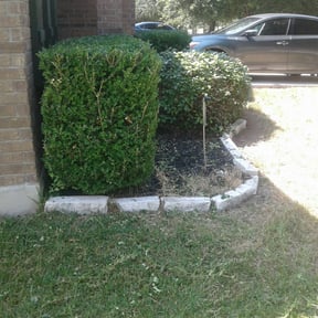 Bush Trimming by After Care Express SVC reviewed on August 20, 2025