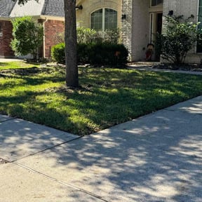 lawn care by House ODonnell Ventures  reviewed on August 21, 2025