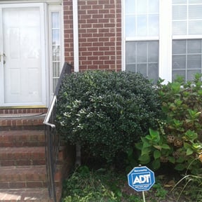 Bush Trimming by 3DM reviewed on August 21, 2025