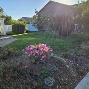 yard work by Push Mow Loudoun reviewed on August 17, 2025