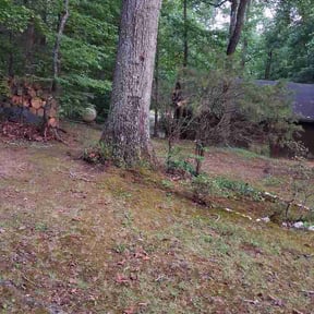 Leaf Removal by 923soulutions9@gmail.com reviewed on May 28, 2026