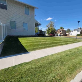 lawn care services by Torres Lawn Care reviewed on May 23, 2024
