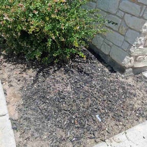 Flower Bed Weeding by Valley Roots Lawn Care reviewed on July 29, 2026