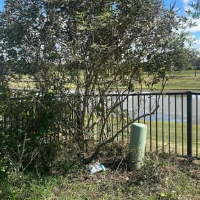 Bush Trimming by G&amp;M Landscaping Services reviewed on November 24, 2025