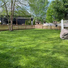 yard care by Gary Guzman reviewed on August 15, 2025