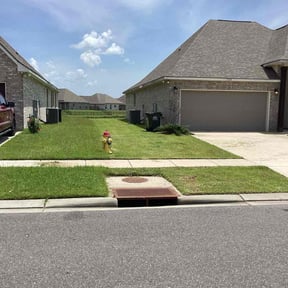 landscaping by In and Out reviewed on August 19, 2025