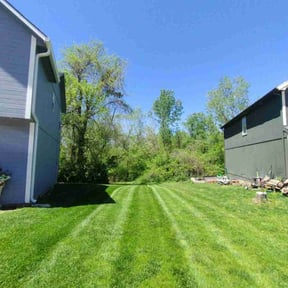 grass maintenance by Byers Lawn reviewed on June 20, 2025
