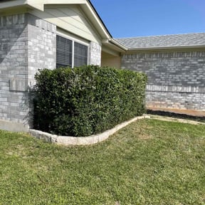 Bush Trimming by Cains lawncare services reviewed on May 13, 2024