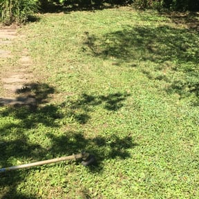 Bush Trimming by Sunrise Sunset Landscaping reviewed on August 19, 2025