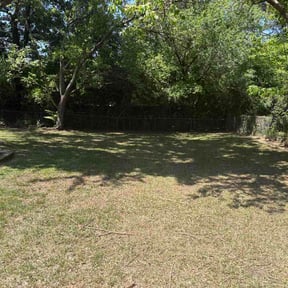 Bush Trimming by DigonThis Lawncare reviewed on April 27, 2026