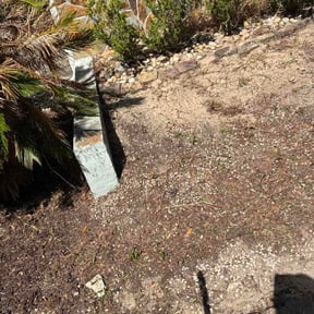 Flower Bed Weeding by All About It services reviewed on March 29, 2026