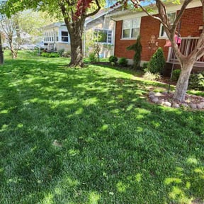 yard work by Green T's Lawn & Landscape reviewed on August 19, 2025
