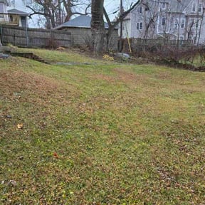 Leaf Removal by My Family Lawn Care reviewed on December 1, 2025