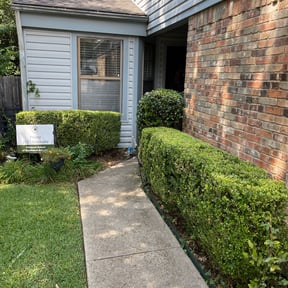 Bush Trimming by McNeil's lawn care & maintenance reviewed on August 14, 2025