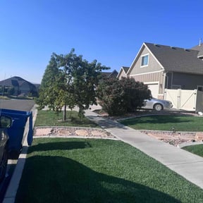 yard maintenance by Scott Bensing Lawn Care reviewed on August 21, 2025