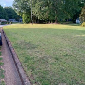 turf maintenance by Wgm landscaping reviewed on August 16, 2025