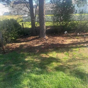 Bush Trimming by King of Lawn Care LLC reviewed on March 12, 2026