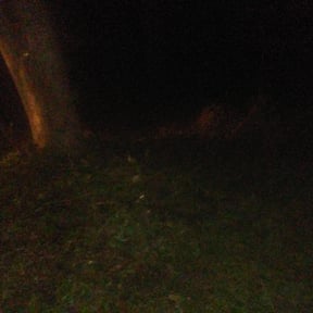 Bush Trimming by Grass Munchers reviewed on August 17, 2025