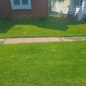 lawn care by Wallace The Lawn Guy reviewed on September 8, 2023