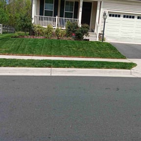 turf care by Flores Landscaping Services reviewed on June 8, 2025