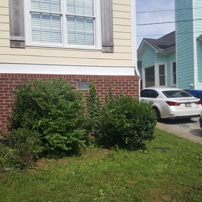 Bush Trimming by Dad and Sons lawn care service reviewed on August 20, 2025