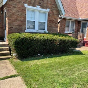 Bush Trimming by AP Landscapers reviewed on August 15, 2025
