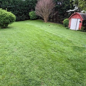 turf care by Performance Services. reviewed on April 27, 2025