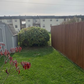 Bush Trimming by MG Landscaping reviewed on August 15, 2025