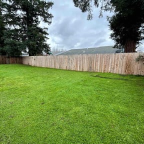 lawn care by Jim&#039;s Lawn Service reviewed on May 15, 2024