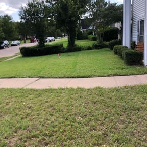 Bush Trimming by Torres Transformations reviewed on August 15, 2025